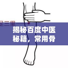 揭秘百度中医秘籍，常用骨度分寸表详解！