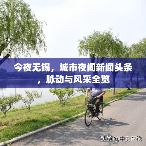 今夜无锡，城市夜间新闻头条，脉动与风采全览