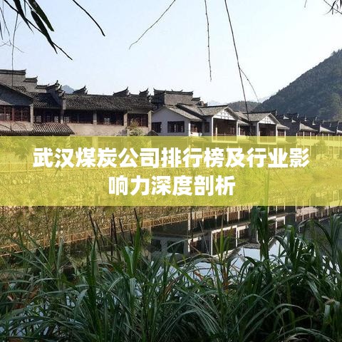武汉煤炭公司排行榜及行业影响力深度剖析