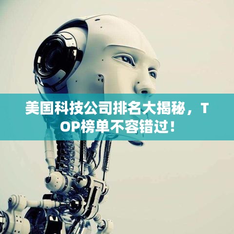 美国科技公司排名大揭秘，TOP榜单不容错过！