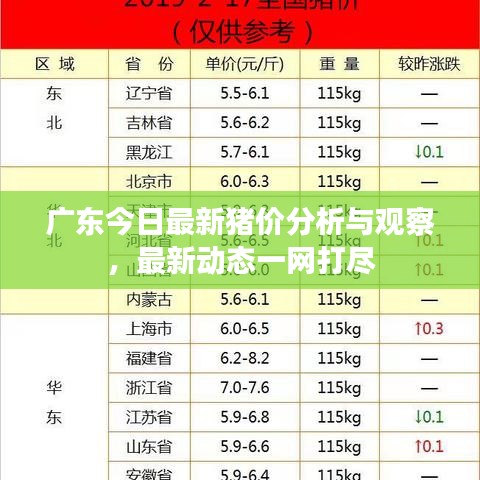 广东今日最新猪价分析与观察，最新动态一网打尽