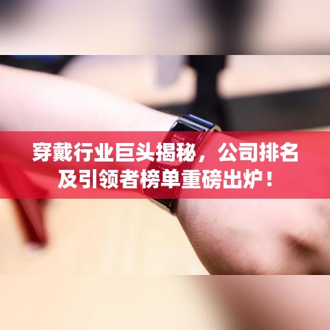 穿戴行业巨头揭秘，公司排名及引领者榜单重磅出炉！