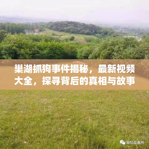 巢湖抓狗事件揭秘，最新视频大全，探寻背后的真相与故事