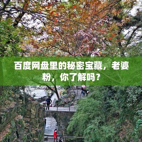 百度网盘里的秘密宝藏，老婆粉，你了解吗？