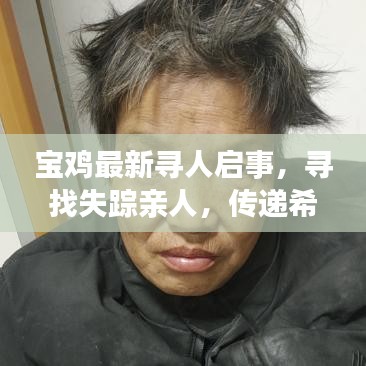 宝鸡最新寻人启事，寻找失踪亲人，传递希望与温暖，温情助力团圆梦