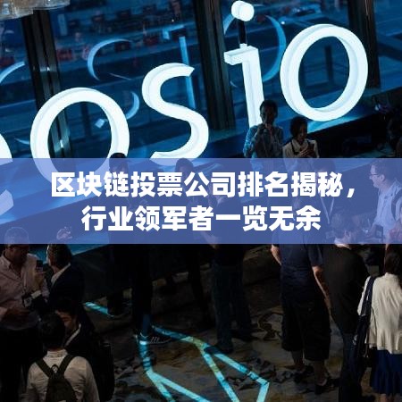 区块链投票公司排名揭秘，行业领军者一览无余