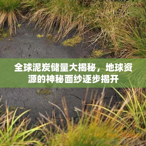 全球泥炭储量大揭秘，地球资源的神秘面纱逐步揭开