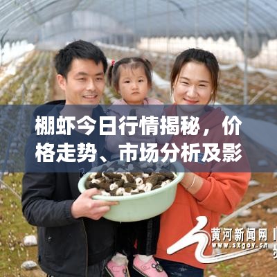 棚虾今日行情揭秘，价格走势、市场分析及影响因素全解析