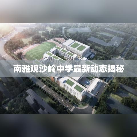 南雅观沙岭中学最新动态揭秘