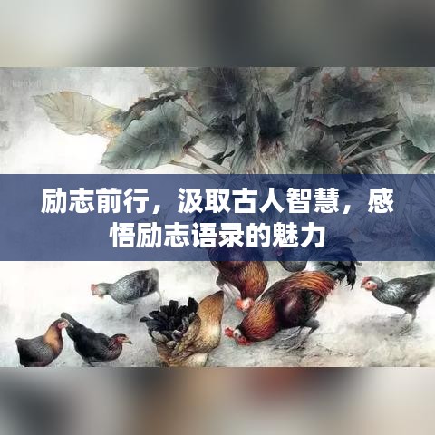 励志前行，汲取古人智慧，感悟励志语录的魅力