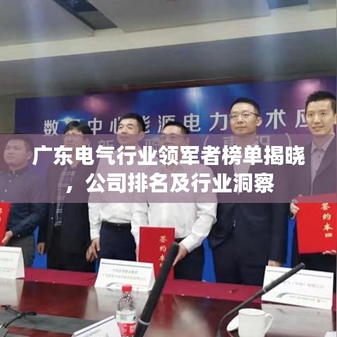 广东电气行业领军者榜单揭晓，公司排名及行业洞察