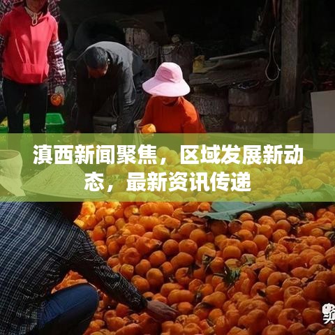 滇西新闻聚焦，区域发展新动态，最新资讯传递