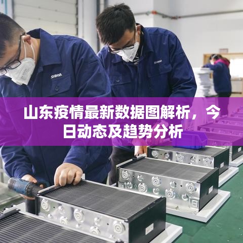 山东疫情最新数据图解析，今日动态及趋势分析