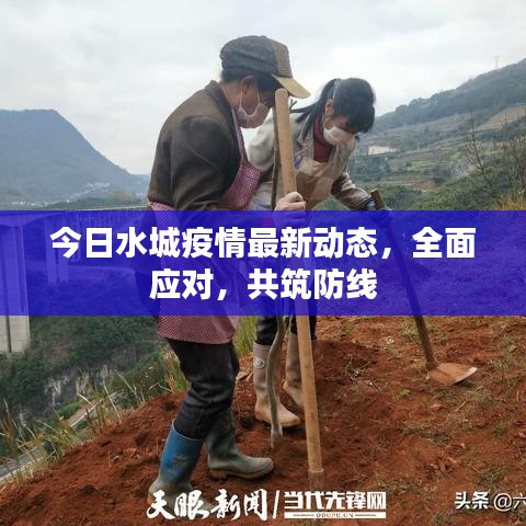 今日水城疫情最新动态，全面应对，共筑防线