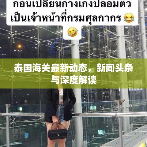 泰国海关最新动态，新闻头条与深度解读