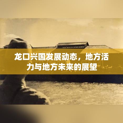 龙口兴国发展动态，地方活力与地方未来的展望