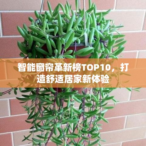 智能窗帘革新榜TOP10，打造舒适居家新体验