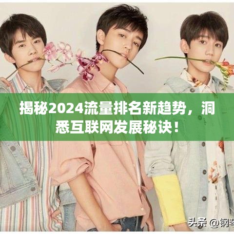 揭秘2024流量排名新趋势，洞悉互联网发展秘诀！