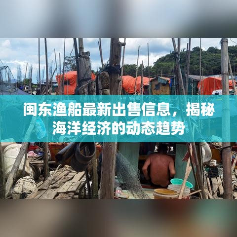 闽东渔船最新出售信息，揭秘海洋经济的动态趋势