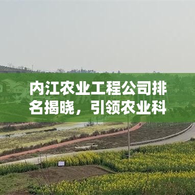 内江农业工程公司排名揭晓，引领农业科技新潮流的先驱者