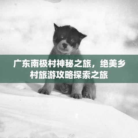 广东南极村神秘之旅，绝美乡村旅游攻略探索之旅