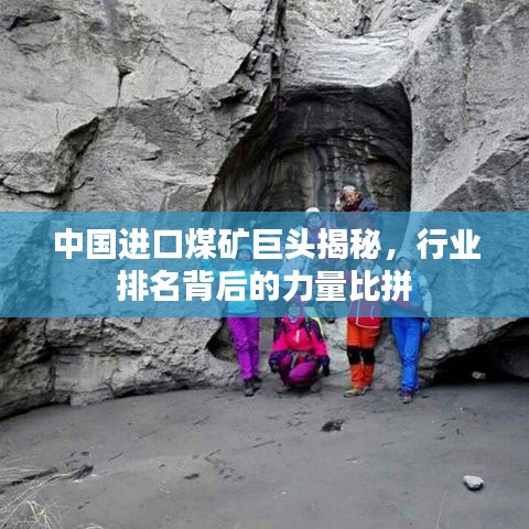 中国进口煤矿巨头揭秘，行业排名背后的力量比拼