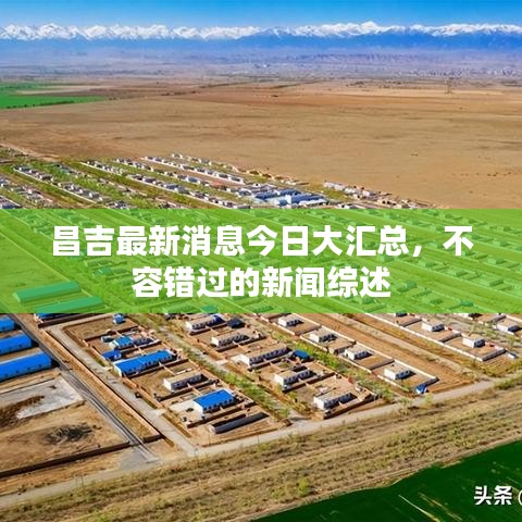 昌吉最新消息今日大汇总，不容错过的新闻综述
