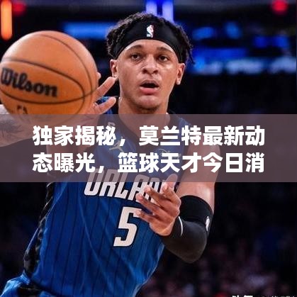 独家揭秘，莫兰特最新动态曝光，篮球天才今日消息视频大揭秘！