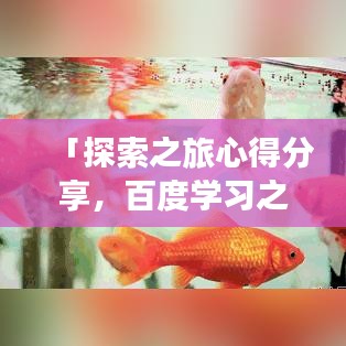 「探索之旅心得分享，百度学习之旅的感悟与收获」