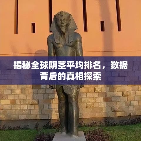 揭秘全球阴茎平均排名，数据背后的真相探索