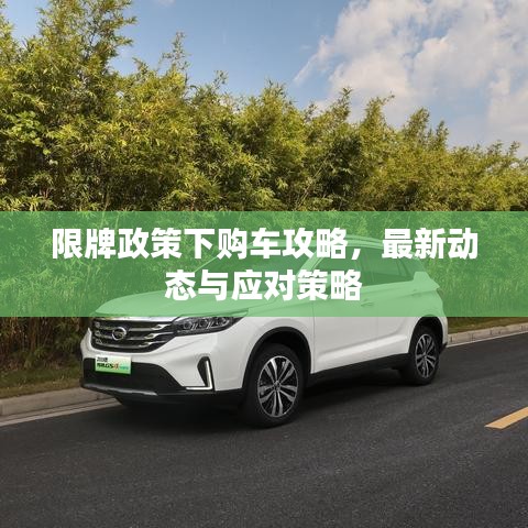 限牌政策下购车攻略，最新动态与应对策略