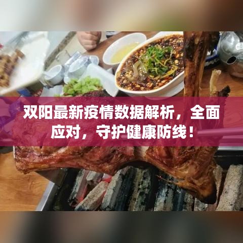 双阳最新疫情数据解析，全面应对，守护健康防线！