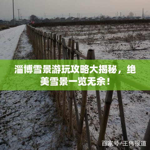 淄博雪景游玩攻略大揭秘，绝美雪景一览无余！