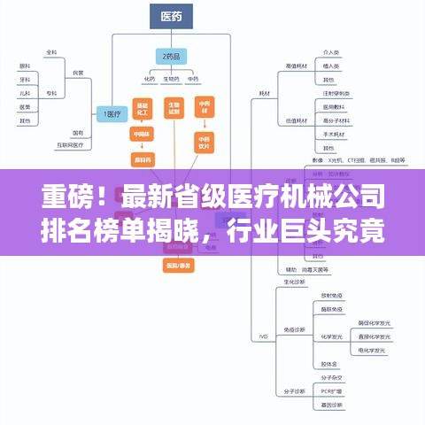 重磅！最新省级医疗机械公司排名榜单揭晓，行业巨头究竟是谁？
