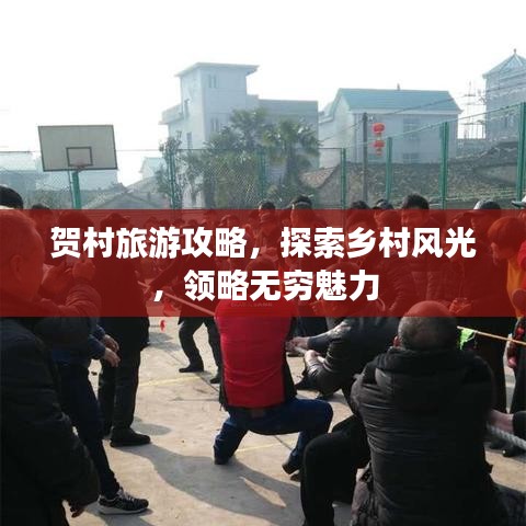 贺村旅游攻略，探索乡村风光，领略无穷魅力