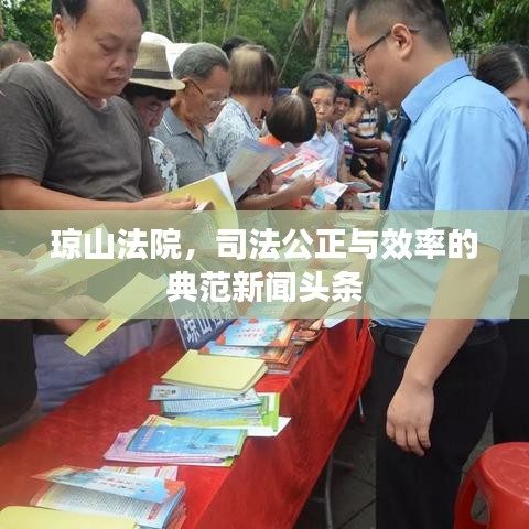 琼山法院，司法公正与效率的典范新闻头条