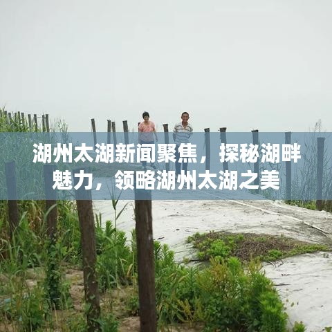 湖州太湖新闻聚焦，探秘湖畔魅力，领略湖州太湖之美
