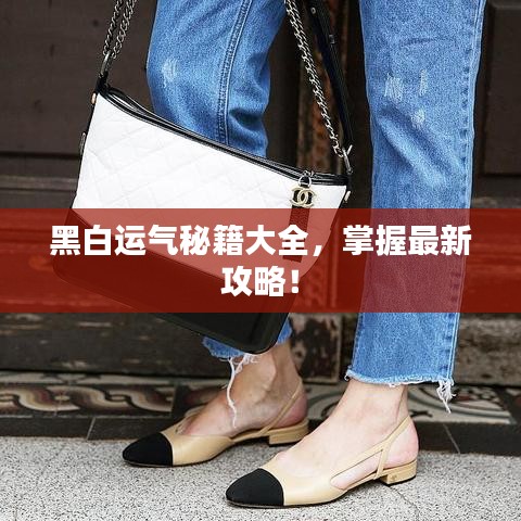 黑白运气秘籍大全，掌握最新攻略！