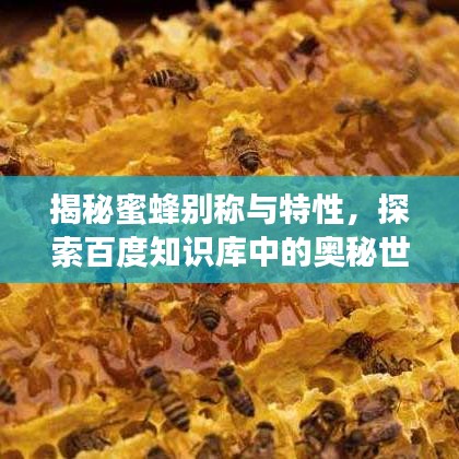 揭秘蜜蜂别称与特性，探索百度知识库中的奥秘世界