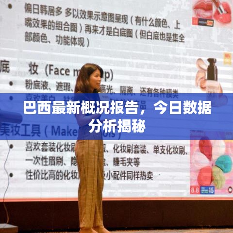 巴西最新概况报告，今日数据分析揭秘