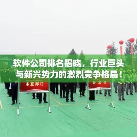 软件公司排名揭晓，行业巨头与新兴势力的激烈竞争格局！