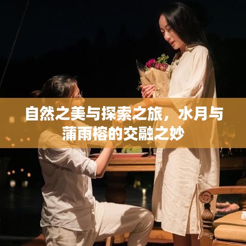 自然之美与探索之旅，水月与蒲雨榕的交融之妙
