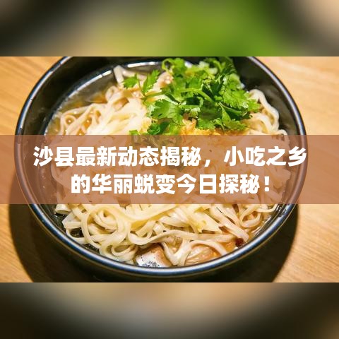 沙县最新动态揭秘，小吃之乡的华丽蜕变今日探秘！