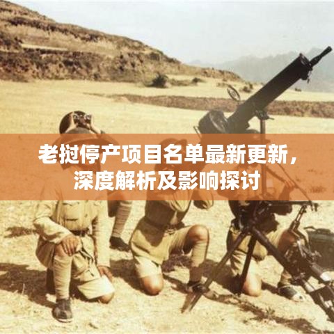 老挝停产项目名单最新更新，深度解析及影响探讨
