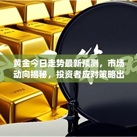黄金今日走势最新预测，市场动向揭秘，投资者应对策略出炉！