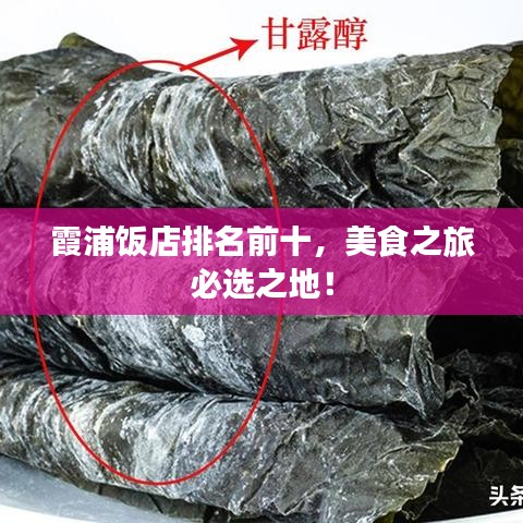 霞浦饭店排名前十，美食之旅必选之地！
