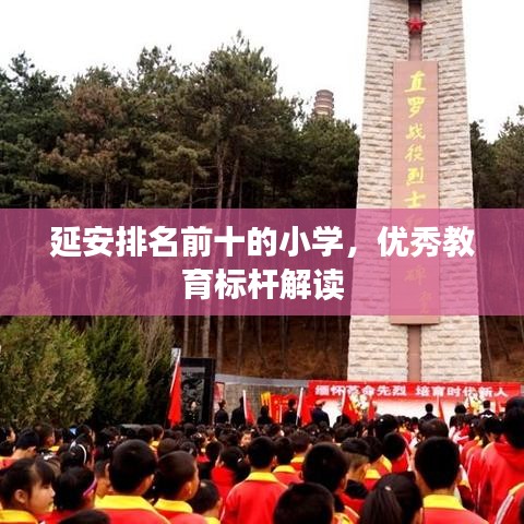 延安排名前十的小学，优秀教育标杆解读