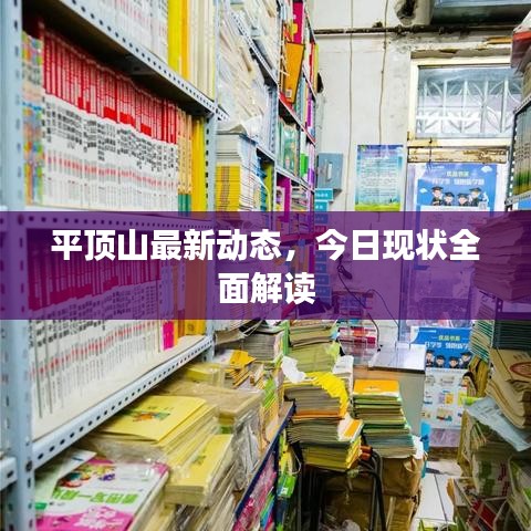 平顶山最新动态，今日现状全面解读