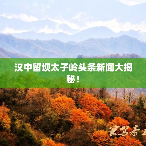汉中留坝太子岭头条新闻大揭秘！