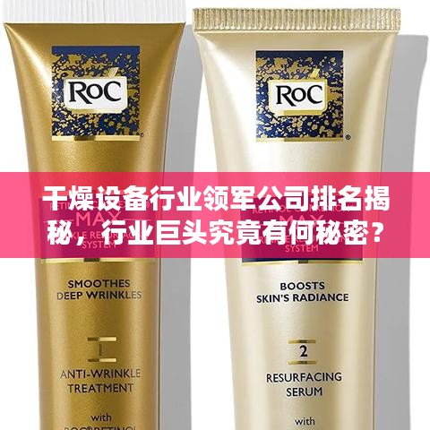 干燥设备行业领军公司排名揭秘，行业巨头究竟有何秘密？